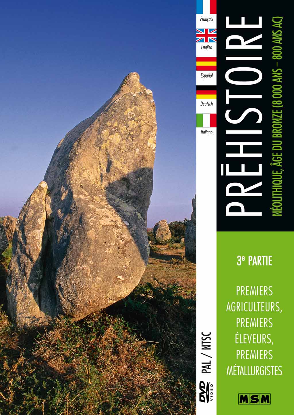 Préhistoire (3e partie) : Néolithique, Âge du Bronze